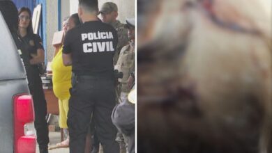 Laudo aponta lesões fatais em criança de dois anos sob cuidados de babá em Goiás