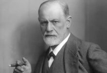 A importância da divergência nas relações segundo a visão de Sigmund Freud