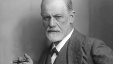 A importância da divergência nas relações segundo a visão de Sigmund Freud