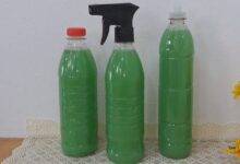 Adeus ao mau cheiro de urina: soluções eficazes para um banheiro sempre perfumado