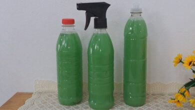 Adeus ao mau cheiro de urina: soluções eficazes para um banheiro sempre perfumado