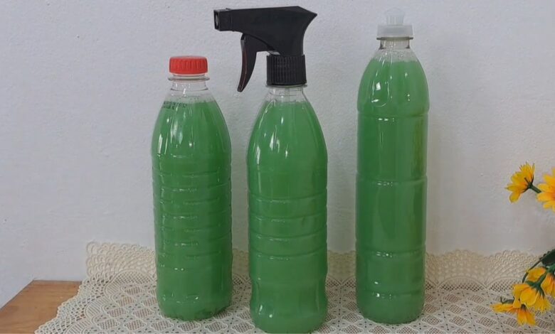 Adeus ao mau cheiro de urina: soluções eficazes para um banheiro sempre perfumado