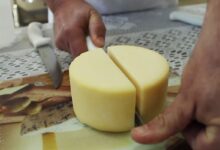Alerta nacional: Anvisa suspende venda e determina recolhimento de lotes de queijo minas e molho pesto