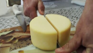Alerta nacional: Anvisa suspende venda e determina recolhimento de lotes de queijo minas e molho pesto