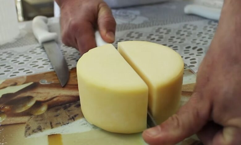 Alerta nacional: Anvisa suspende venda e determina recolhimento de lotes de queijo minas e molho pesto