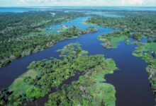 Amazonas: a magnitude do maior rio do mundo em números impressionantes