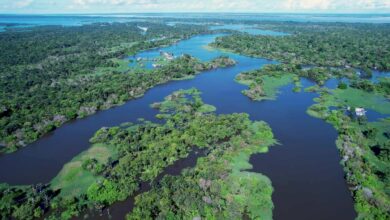 Amazonas: a magnitude do maior rio do mundo em números impressionantes