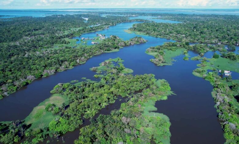 Amazonas: a magnitude do maior rio do mundo em números impressionantes