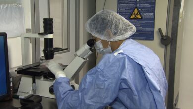 Avanços na ciência: novos casos de remissão do HIV após transplante de células-tronco