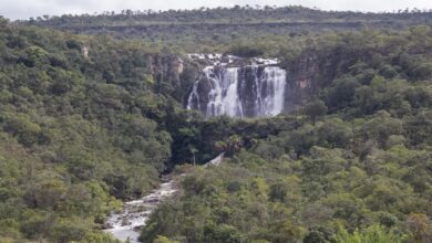 Caminho Cora Coralina: a trilha de 300 km em Goiás que une poesia, história e lendas do Cerrado