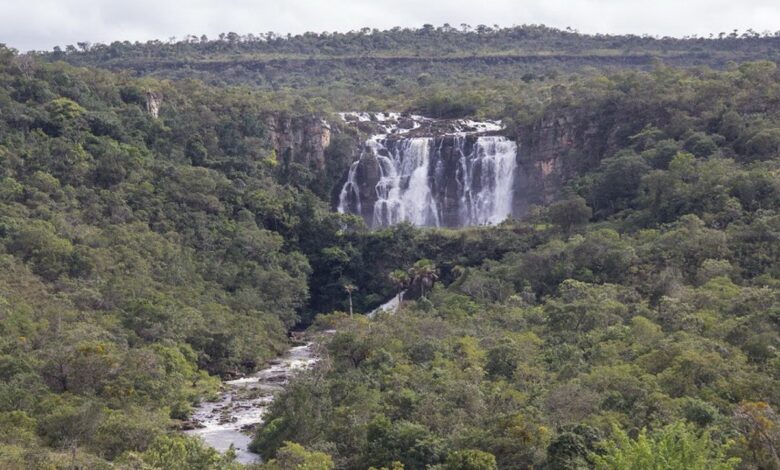 Caminho Cora Coralina: a trilha de 300 km em Goiás que une poesia, história e lendas do Cerrado