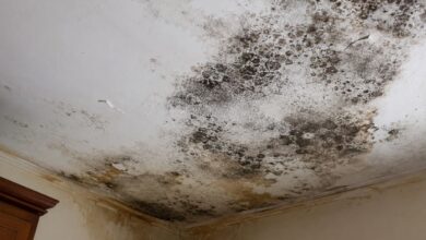 Combatendo o mofo no teto: estratégias eficazes contra infiltrações e o retorno das manchas