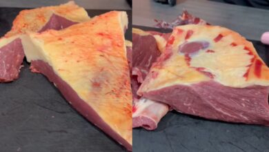 Corte bovino surpreende churrasqueiros e rivaliza com a picanha em sabor e preço