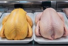 Frango com pele amarela ou branca: desvendando os mitos no supermercado