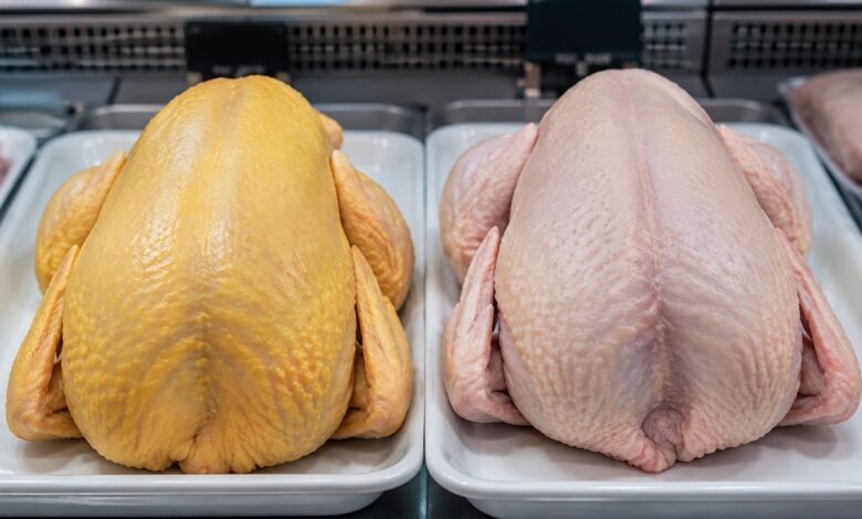 Frango com pele amarela ou branca: desvendando os mitos no supermercado
