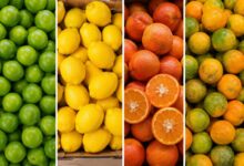 Guia do limão: como escolher a variedade ideal para cada receita no supermercado