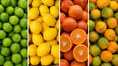 Guia do limão: como escolher a variedade ideal para cada receita no supermercado