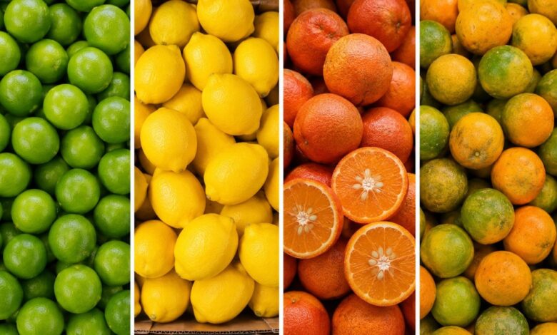 Guia do limão: como escolher a variedade ideal para cada receita no supermercado