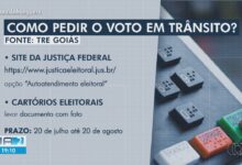 Eleições 2026: saiba como solicitar o voto em trânsito e garantir sua participação