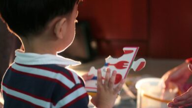 Autismo no Brasil: advogada detalha 20 direitos e os desafios para acessá-los