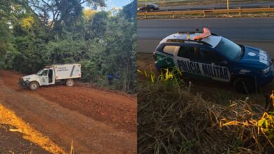 Corpo em avançado estado de decomposição é localizado em área de mata em Anápolis