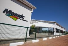 Guerra no Oriente Médio paralisa produção de fertilizantes em Goiás e ameaça centenas de empregos