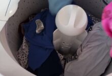 Segredo das lavanderias: como manter roupas perfumadas usando intensificadores