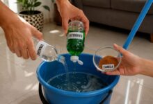 Limpeza doméstica: a mistura de vinagre, detergente e canela para eliminar o mau cheiro e a gordura