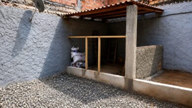Jardins permeáveis: a solução americana que conquista casas no Brasil e será tendência em 2026, segundo arquitetos