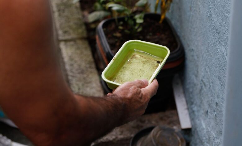 El Niño ameaça elevar casos de dengue e chikungunya no Brasil em 2027