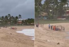 Gerente bancário morre após resgatar familiares de afogamento em praia na Bahia