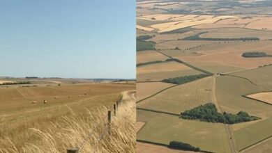 Inglaterra declara seca oficial em metade do território após calor recorde e chuvas mínimas