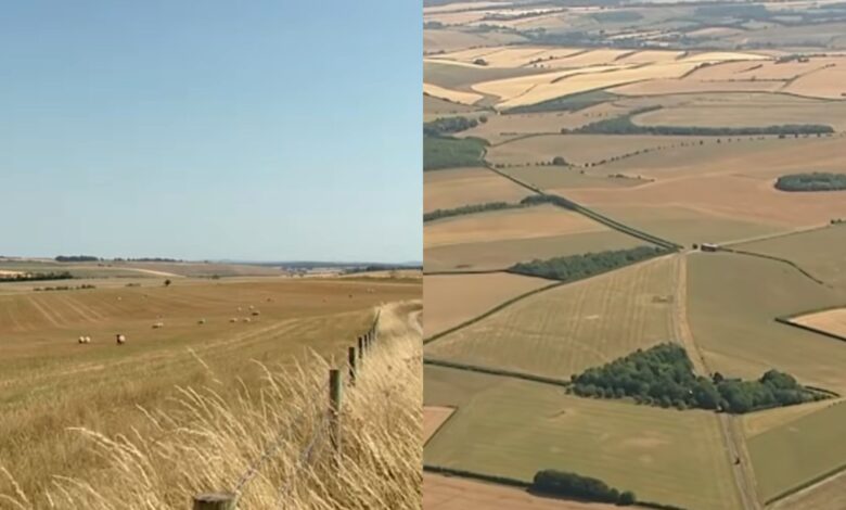 Inglaterra declara seca oficial em metade do território após calor recorde e chuvas mínimas