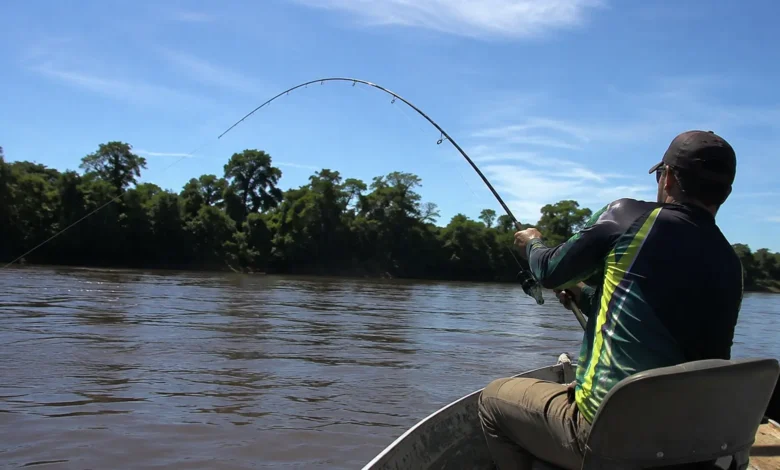 Jaú de 68 quilos é fisgado no Rio Acre e fotos do peixe gigante impressionam