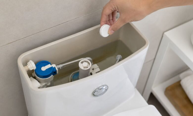 Pastilhas sanitárias na caixa acoplada: entenda o uso e os cuidados essenciais para a higiene do vaso