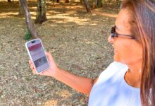Quinze anos de g1 Goiás: a evolução do jornalismo digital e o compromisso com a informação