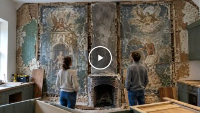 Reforma de cozinha revela pinturas históricas de importância nacional