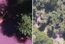 Vazamento de produtos químicos tinge córrego de rosa após incêndio em caminhão na Br-153