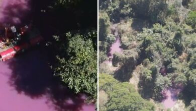 Vazamento de produtos químicos tinge córrego de rosa após incêndio em caminhão na Br-153
