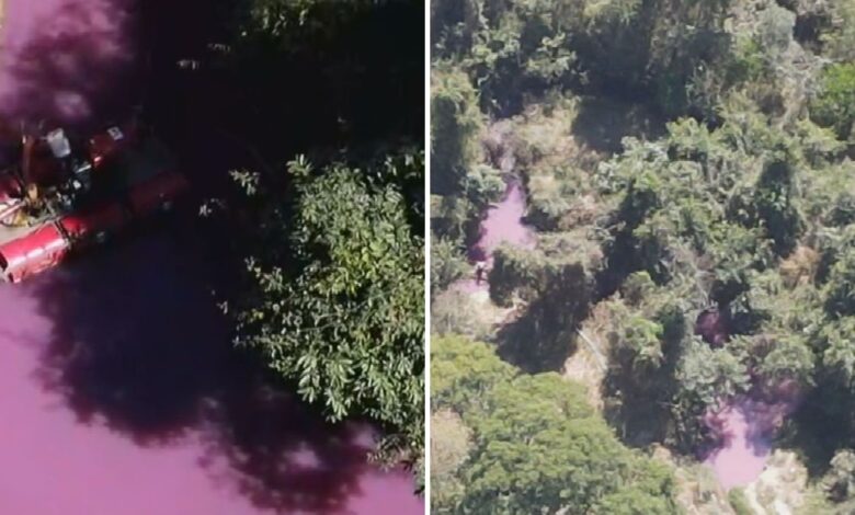 Vazamento de produtos químicos tinge córrego de rosa após incêndio em caminhão na Br-153