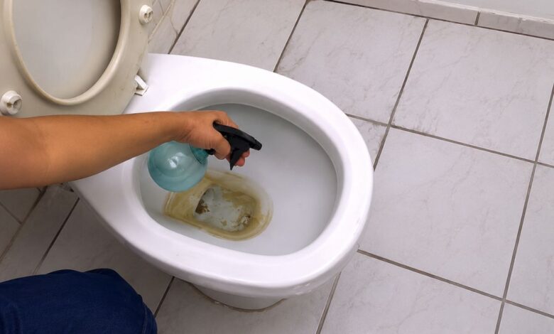 Vinagre branco: o aliado simples para eliminar o encrustado preto do vaso sanitário