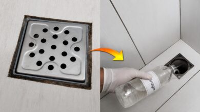 Vinagre no ralo do banheiro: entenda a eficácia e os cuidados necessários na limpeza