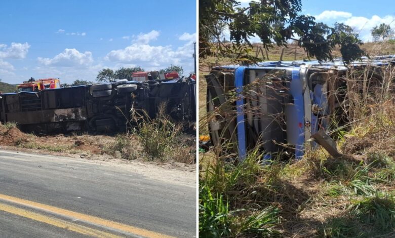Acidente na Go-110 em Luziânia: tragédia com ônibus e caminhão deixa oito mortos