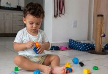 Além de cães e gatos: como escolher o animal de estimação ideal para crianças pequenas