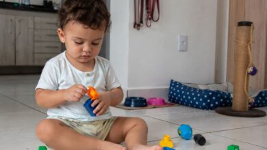 Além de cães e gatos: como escolher o animal de estimação ideal para crianças pequenas
