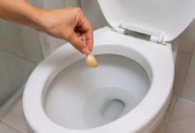 Alho no vaso sanitário: o que há por trás do ritual para atrair prosperidade e afastar energias negativas
