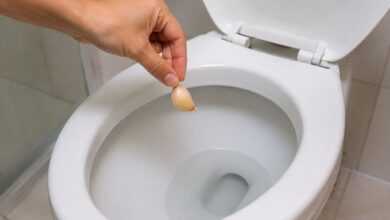 Alho no vaso sanitário: o que há por trás do ritual para atrair prosperidade e afastar energias negativas