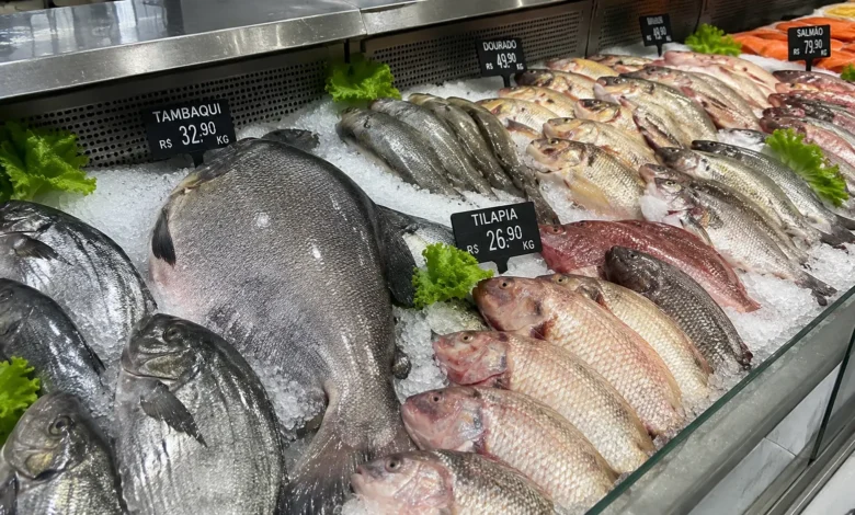 Ameaça ao tambaqui: peixe popular no Brasil entra em lista de extinção e futuro da pesca é incerto