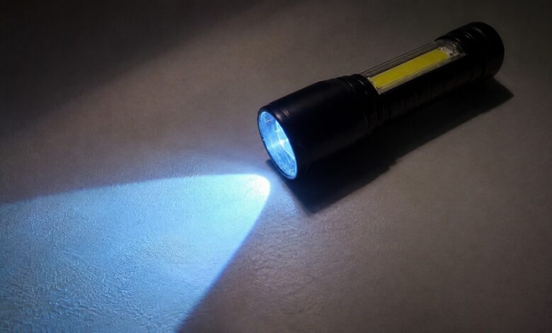 Aplicações da lanterna de luz azul: como ela revela o invisível em sua casa