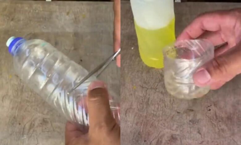 Armadilha caseira com vinagre ajuda a reduzir mosquitos em ambientes fechados